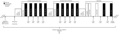 Dietary nitrate ingested with and without pomegranate supplementation does not improve resistance exercise performance